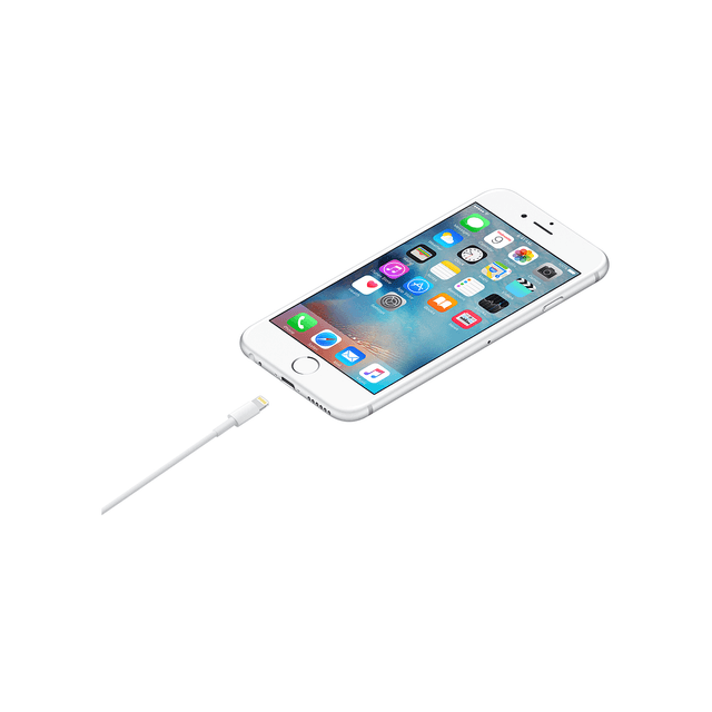 Apple Lightning to USB-A Cable (2m)	