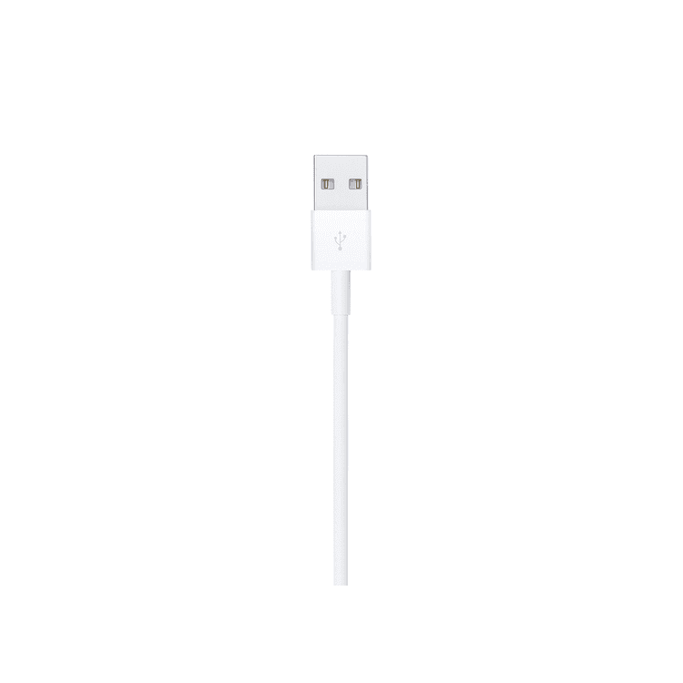 Apple Lightning to USB-A Cable (2m)	