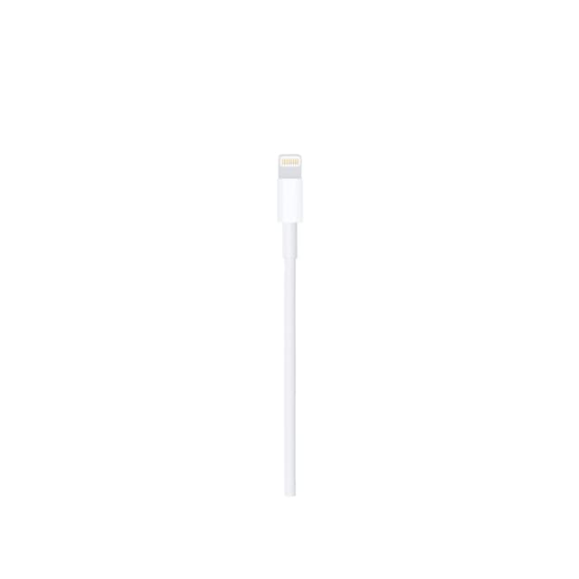 Apple Lightning to USB-A Cable (2m)	