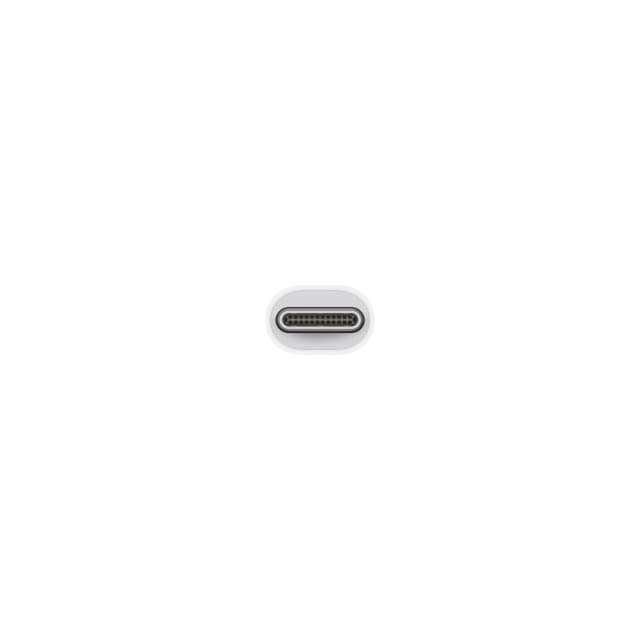 Apple Thunderbolt 3 to Thunderbolt 2 Adapter (USB C)