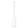 Apple Thunderbolt 3 to Thunderbolt 2 Adapter (USB C)